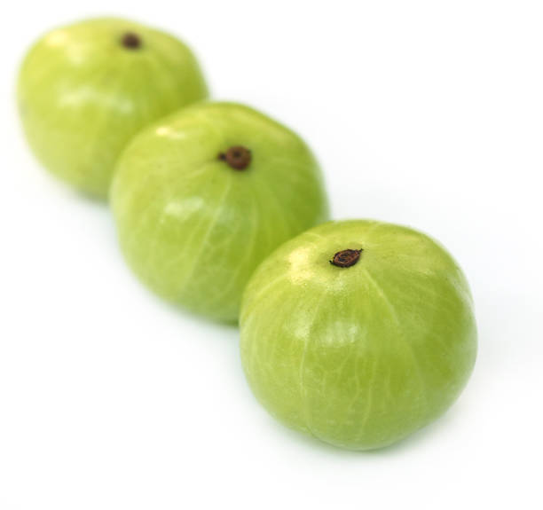 istock Amla fruits 179104432