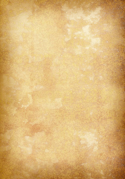 extra large carta di pergamena vecchia pergamena - parchment vellum paper textured foto e immagini stock