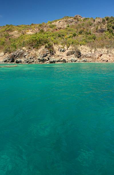 istock Near the Caribbean Island 179105746