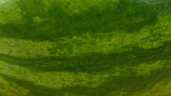 Outside watermelon green funny wallpaper