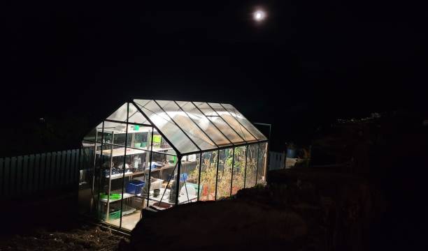istock Illuminated greenhouse by night. 1791072211