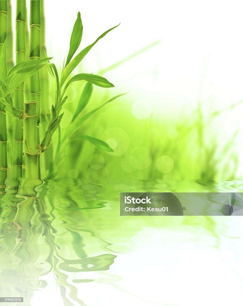 Bamboo Beautiful Bamboo Border Abstract Stock Photo