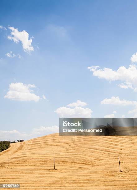 Kraju Toskania - zdjęcia stockowe i więcej obrazów Bez ludzi - Bez ludzi, Fotografika, Gospodarstwo