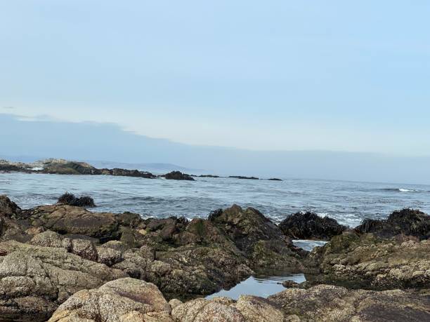 istock The beach without people in Chile 1791082882