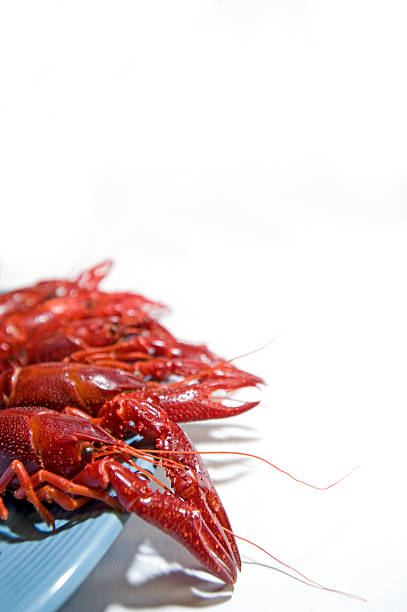 Crawdads 、ブループレート ストックフォト