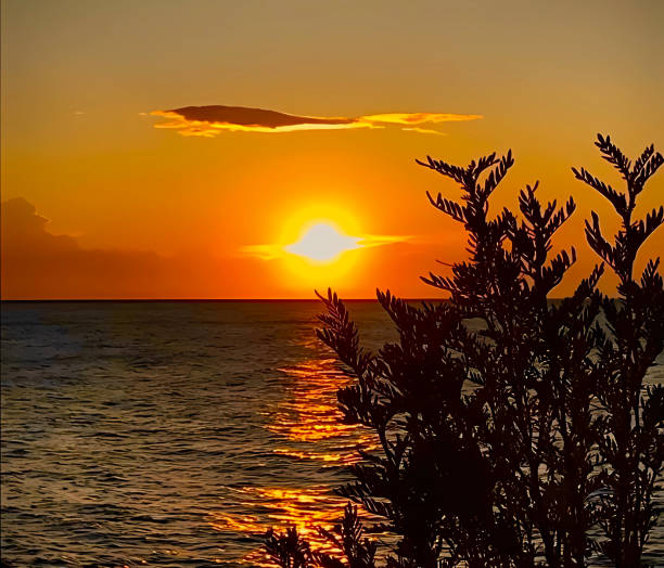 istock Sunset over the sea. 1791099163