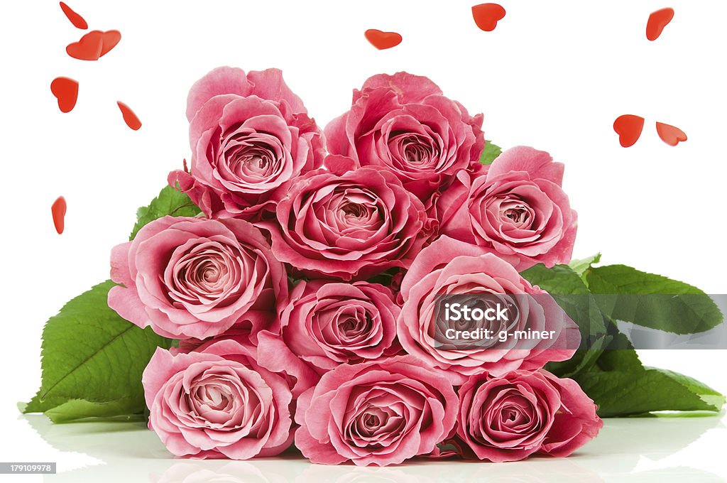 Pink roses and falling down hearts Pink roses and falling down hearts on white background Blossom Stock Photo