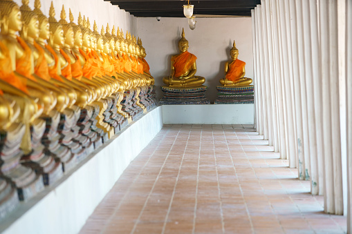 Golden Buddha statues lined up in rows, stretching into the distance