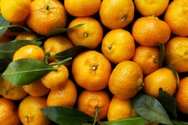 istock Juicy tangerines close-up with leaves as a background 1791105148