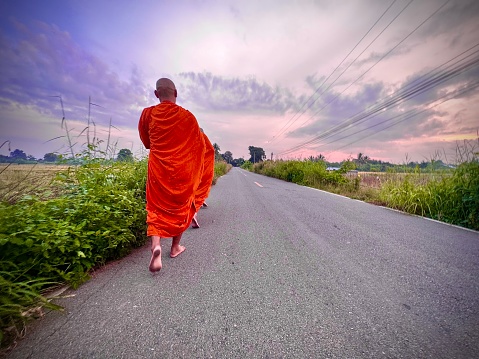 Lamphun Province, Thailand, 11  November 2023 : The  group of Thai monks that wear yellow robe are walking straight in a line along the roadside around the monastery for receive alms in the morning.