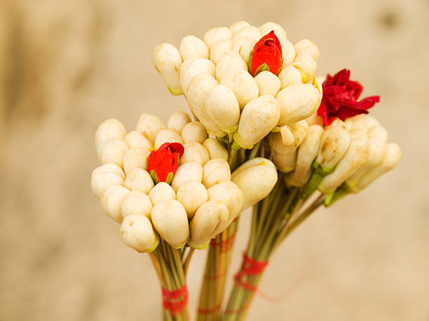 Madurai, India - December 26, 2013: An indian man sits in front of his shop selling flowers. He is smiling and looking at the camera. Flowers arangements are in front of his shop.