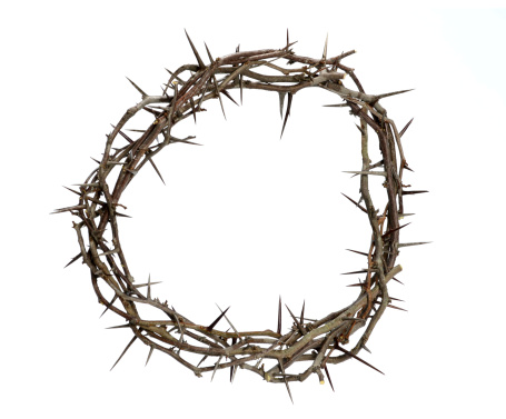 Crown of thorns isolated over white background
