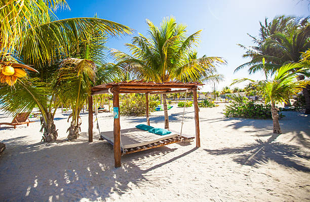 istock Beach beds and hammocks among palm trees at tropical coast 179111273