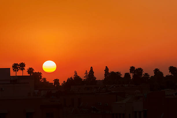 Sunset with palm silhouettes at the Place Jemaa el-Fna in Marrakech, Morocco