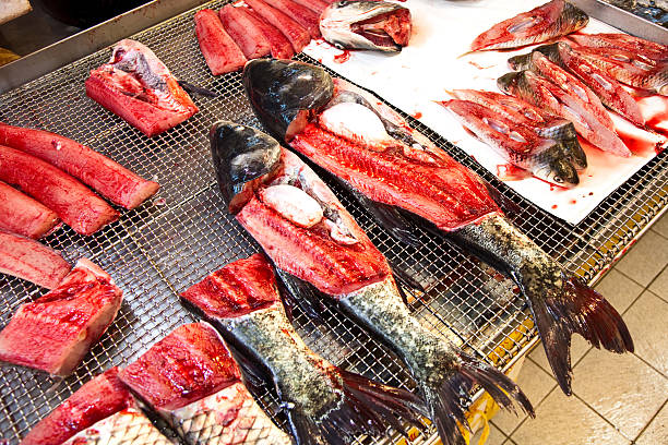 istock whole fresh fishes 179111700