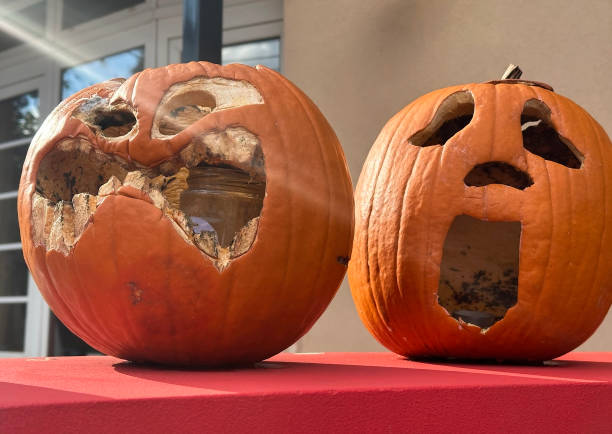 istock Halloween Jack o'lanterns pumpkins in a row 1791119200