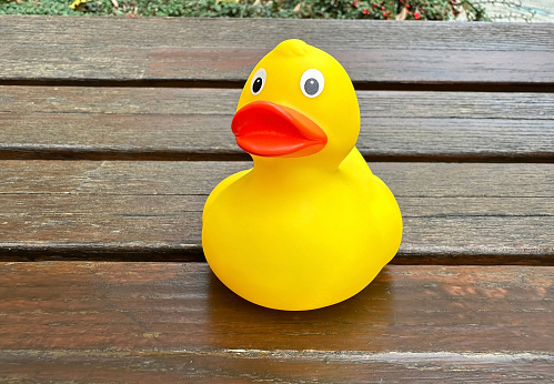 Rubber duck outdoor on a bench