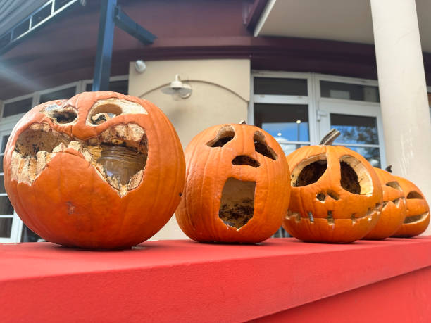 istock Halloween Jack o'lanterns pumpkins in a row 1791119752