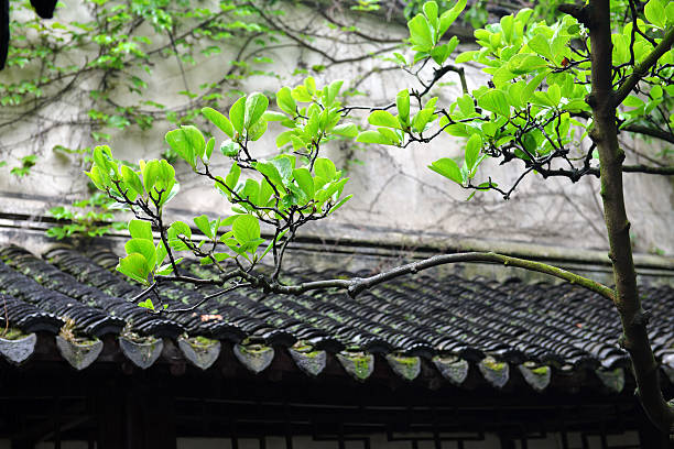 istock Suzhou traditional garden 179112165