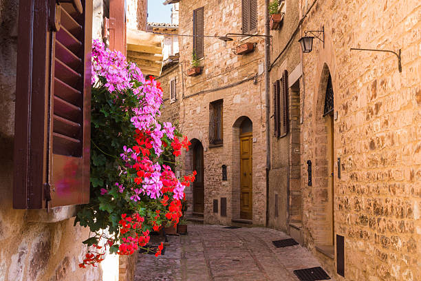 istock Alley with flower pot 179112601
