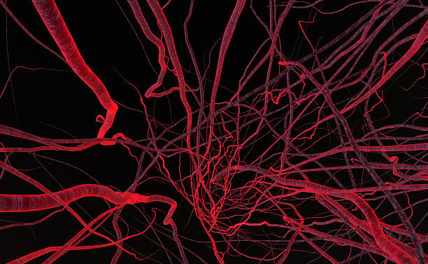 istock red organic fiber 179112736