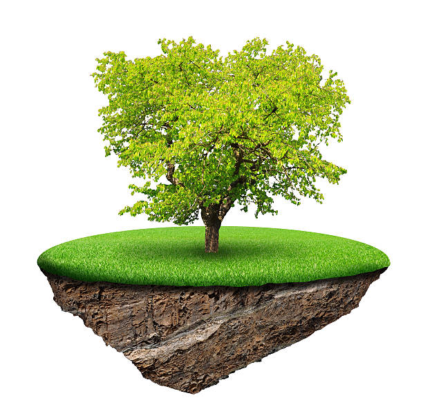 istock Little island and trees 179113039