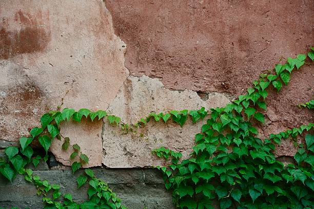 istock Wall of Forbidden City, Beijing, China 179113143