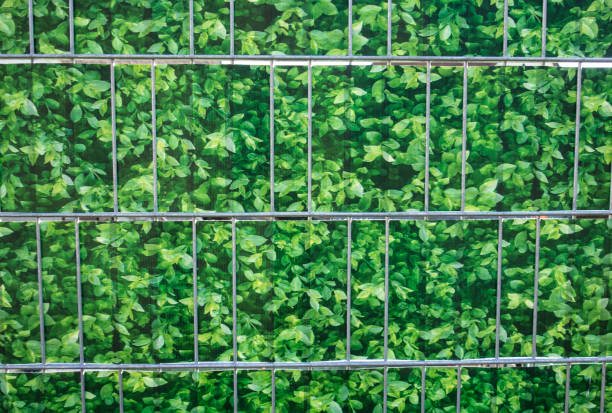 istock facade greening or wall greening 1791133007