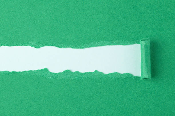 istock Green ripped paper 179113403