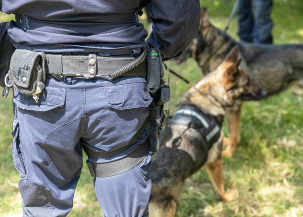istock Policeman with German shepherd police dog 1791136977