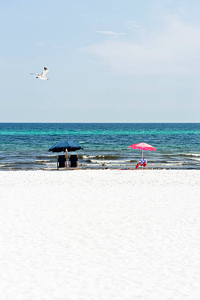 istock Deckchairs and umbrellas alongside the ocean 179113865
