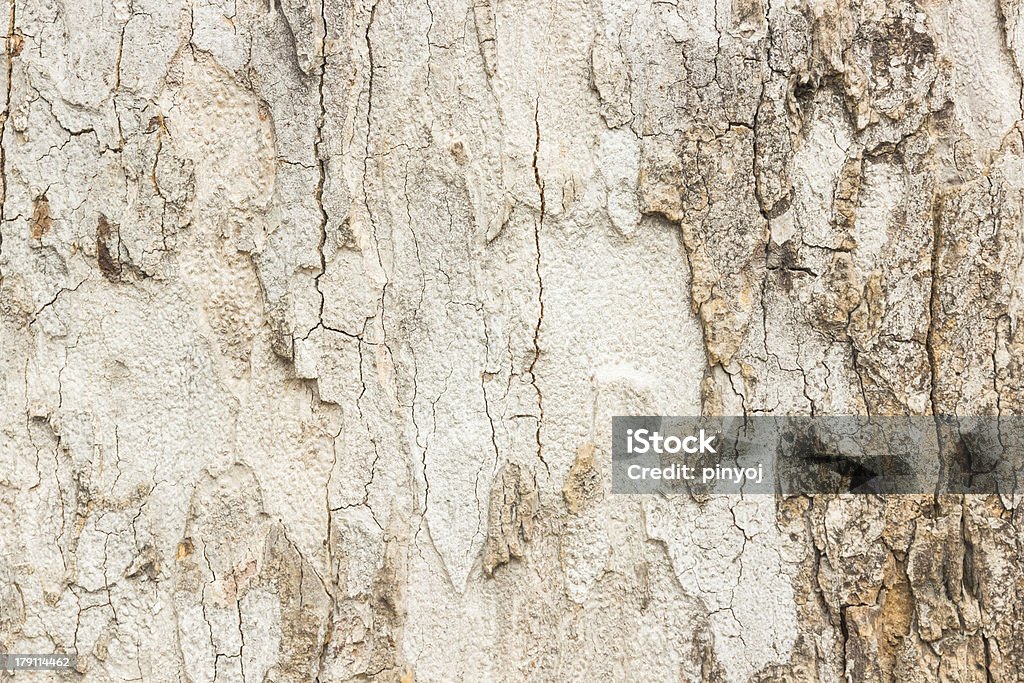 Astratto motivo di legno. - Foto stock royalty-free di Albero