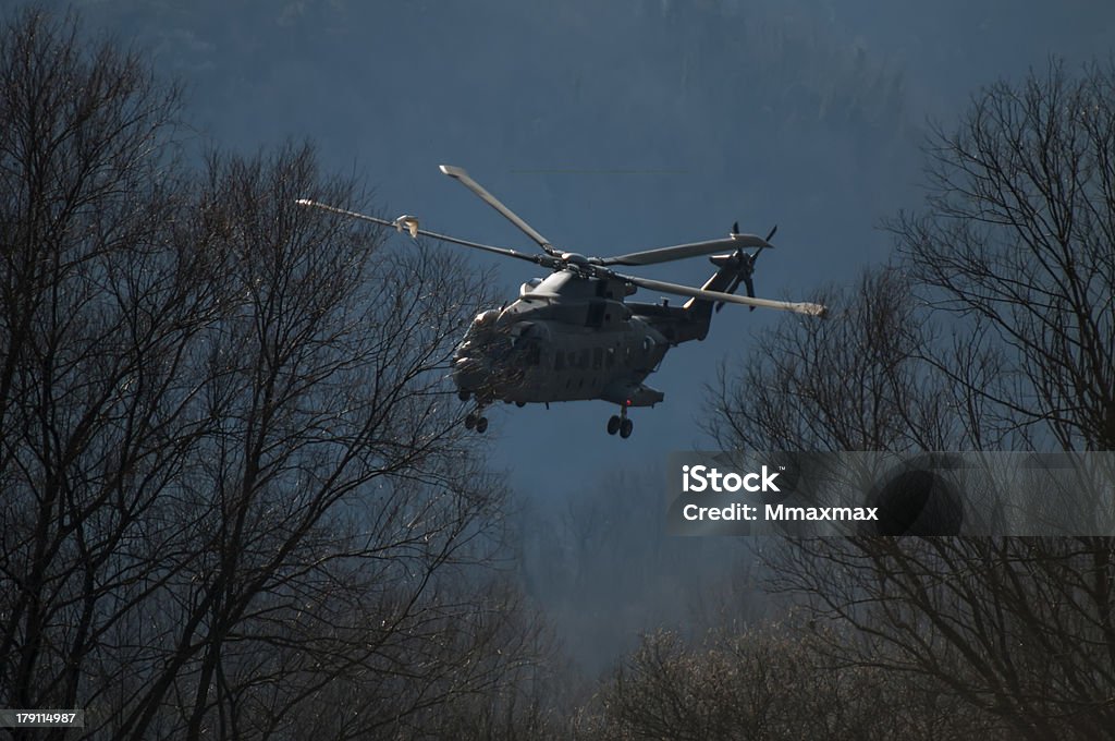 Hélicoptère dans les arbres - Photo de Agression libre de droits