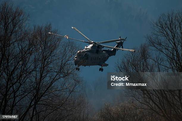 Elicottero Tra Gli Alberi - Fotografie stock e altre immagini di Aeronautica - Aeronautica, Aggressione, Arma da fuoco