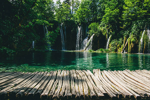 Forest with waterfall on lake with clear water stock photo