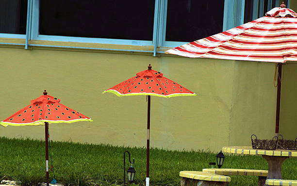 Three Umbrellas stock photo