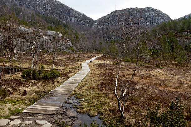 istock wooden track in rural landscape 179115587