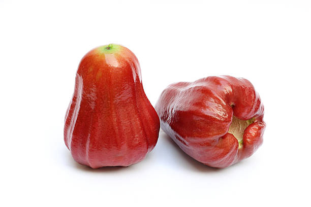 istock Rose apples isolated on white background 179115900