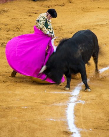 A Bullfighter and Bull