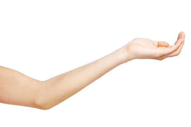 istock Female hand on white background 179116296