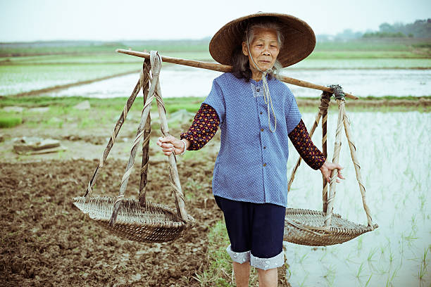 Chinese peasant stock photo