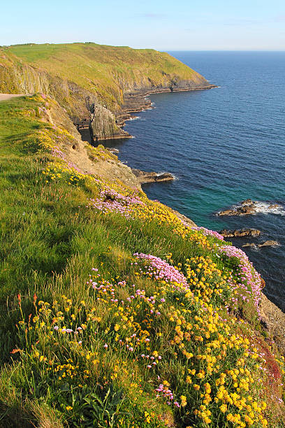 istock Old head of Kinsale 179116928