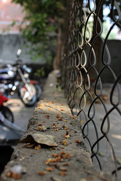 istock Fallen Flowers in Parking Lot 179117473
