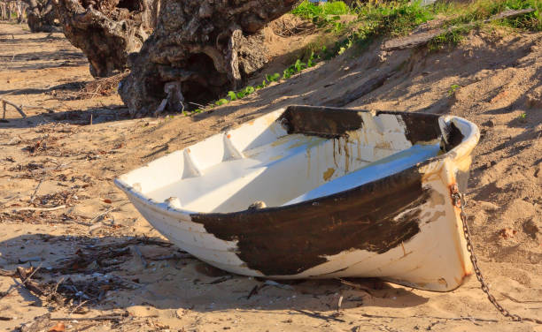 istock Decayed old boat on beach after a cyclone near Cardwell 179117488