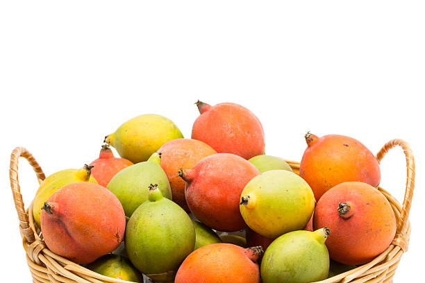istock Close up raw betel nut 179118111