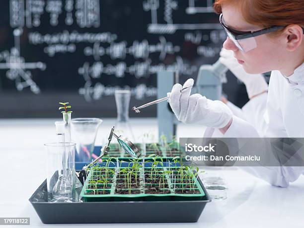 Aluno Analisar Em Um Laboratório De Química - Fotografias de stock e mais imagens de Laboratório - Laboratório, Planta nova, Adulto