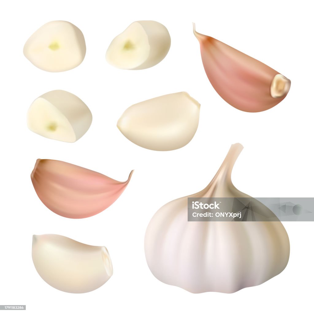 Exploding Garlic Template Garlic Peeled Cloves Garlic Slices Decent Vector Realistic Template Set ...