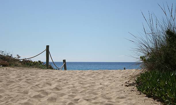 istock Formentera the way to the beach 179118581