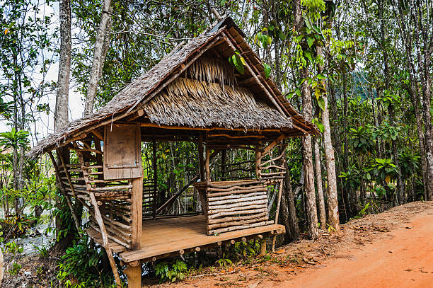 istock hut on the road in jungle 179118583