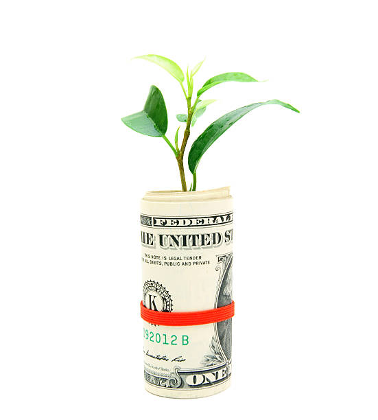 istock Money and plant. 179118814